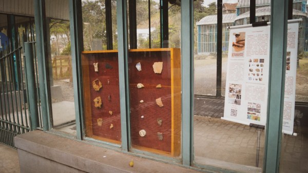 2021_RJ_Petrópolis_PalácioDeCristal_Arqueologia_PrefeituraDePaetrópolis