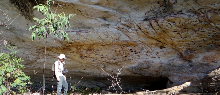 Imagem do WhatsApp de 2024-01-25 à(s) 18.16.58_5e8231f7.jpg