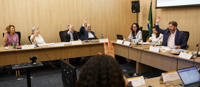 2025_DF_Brasilia_Conselho_MarianaAlves (5) (1).jpg