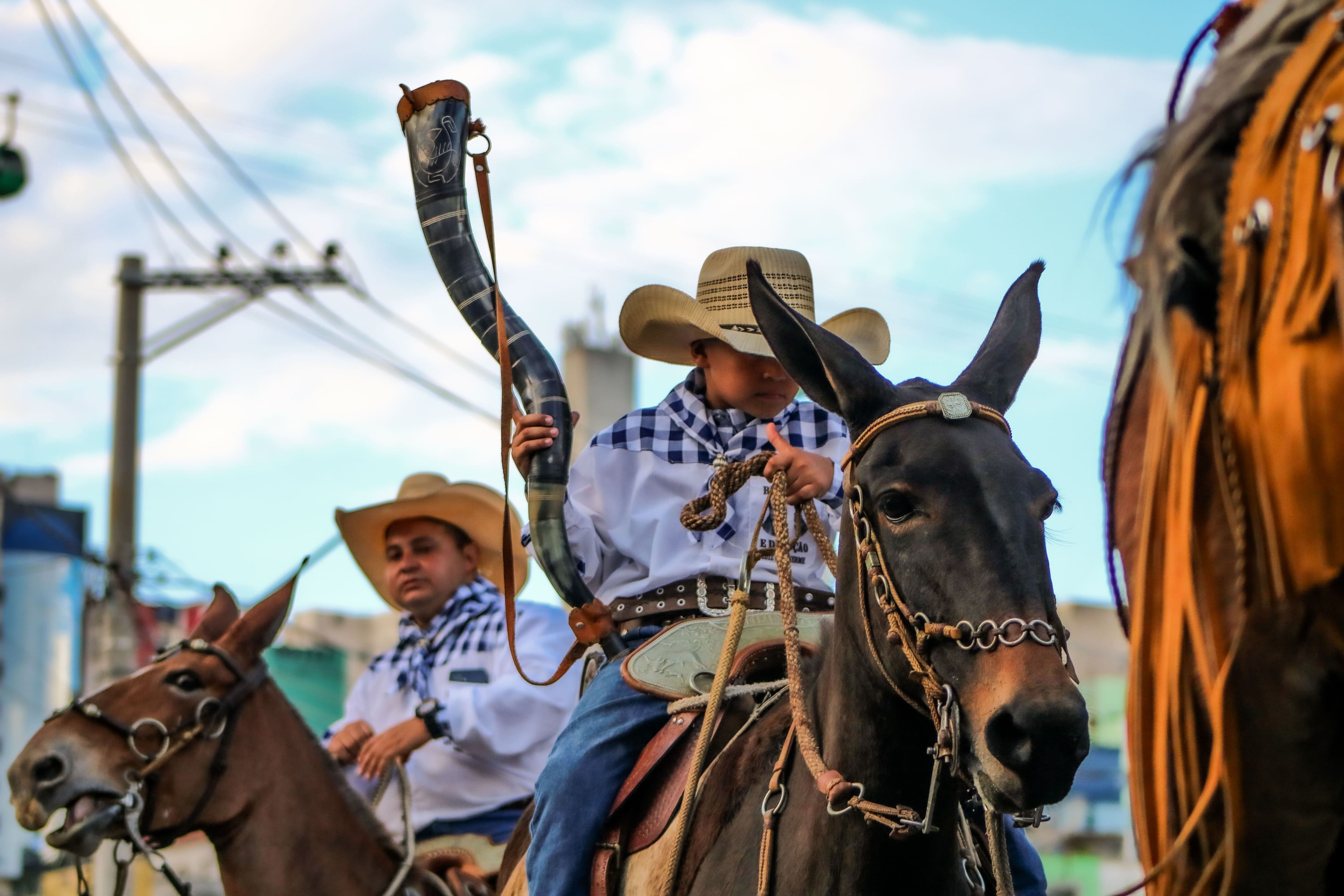 Cortejo da Cavalaria de São Gonçalo e São Benedito, de Guaratinguetá (SP)