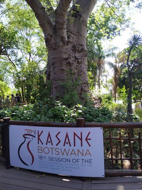 Iphan na Sessão da Unesco