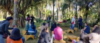 Equipe do Sítio Roberto Burle Marx realiza intercâmbio técnico no Instituto Inhotim