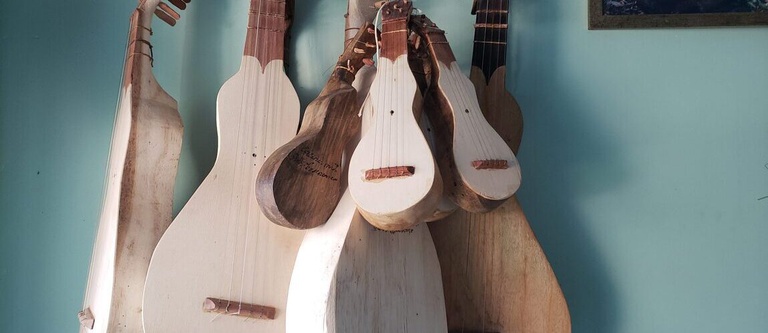 viola de cocho 2 (2).jpg