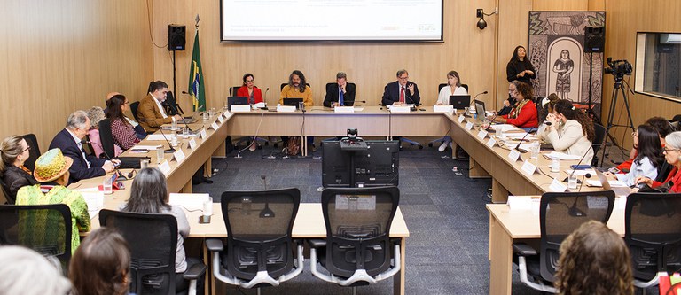 2025_DF_Brasilia_ConselhoConsultivo26marcoTarde_MarianaAlves (18) (1).jpg