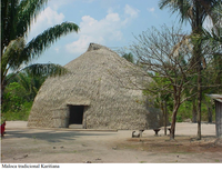 Idioma Karitiana pode ser incluído no Inventário Nacional de Diversidade Linguística (INDL)