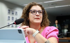 Desiree Tozi, diretora do Departamento de Cooperação e Fomento (Decof/Iphan)