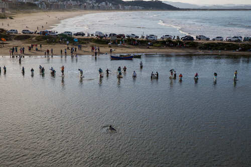 Pesca com botos