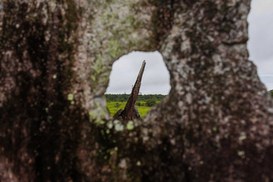 Foto: Mariana Alves/Iphan