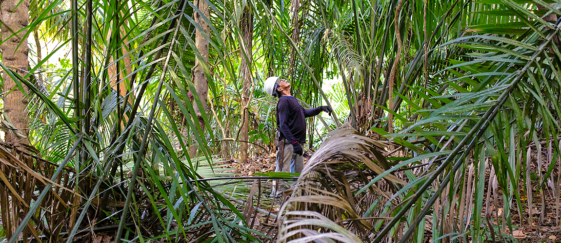 O objetivo é proteger os modos de vida que mantêm os biomas brasileiros vivos