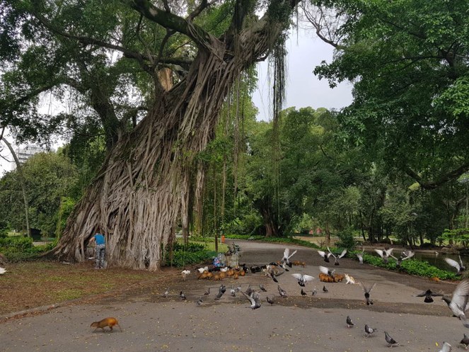 2021_RJ_RioDeJaneiro_CampoDeSantana_AcervoIphanRJ