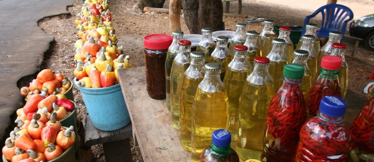 2008_PI_Cajuína_Fotógrafo Desconhecido (37).jpg