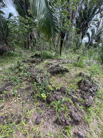 Foto: Alexandre Burity/Iphan