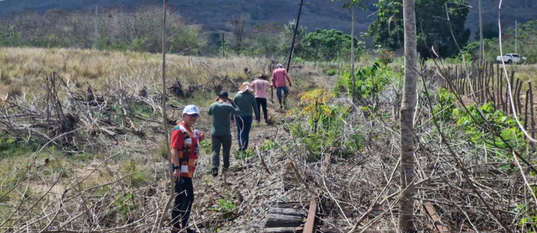 Design sem nome (90).jpg