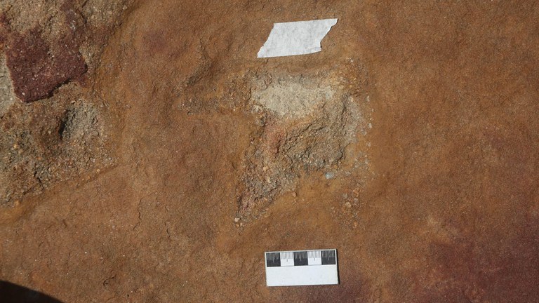 WhatsApp Image 2024-04-10 at 15.15.26 (1).jpeg