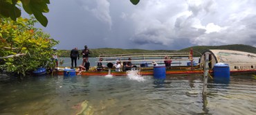 Canoa de Tolda Luzitânia 3