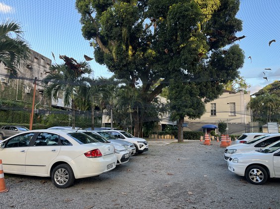 Foto: Silvana Olivieri 