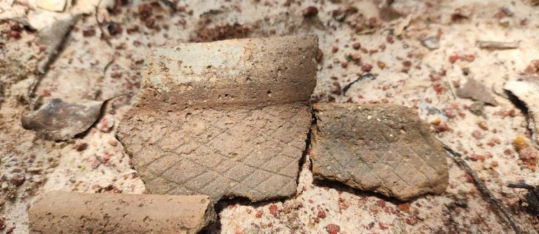 WhatsApp Image 2025-10-02 at 10.50.52 (4) (2).jpeg