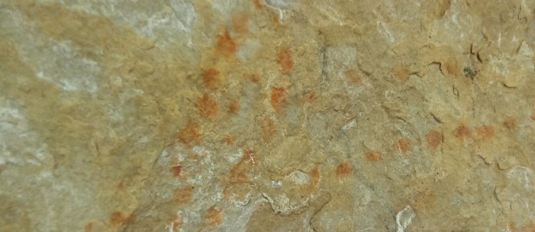 Foto: Alexandre Colpas