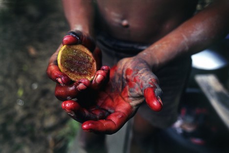 Obra do artista Luiz Braga. (Foto: Divulgação)