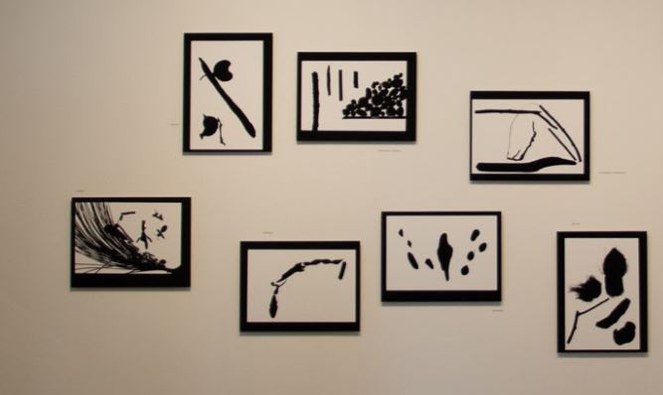 2021_RJ_RioDeJaneiro_PaçoImperial_LimiteOblíquo_AndreBrasil