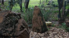 Foto: Governo do Piauí