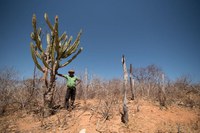 Prêmio Luiz de Castro: vestígios que recontam o movimento de Pau de Colher