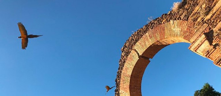 Ruínas da Igreja de N. S. do Rosário dos Homens Pretos