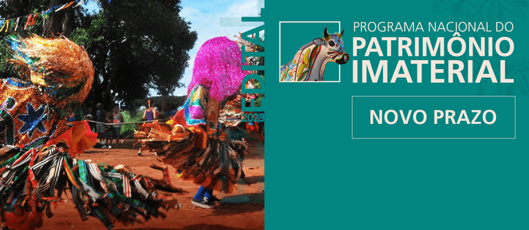 Banner PNPI prorrogação