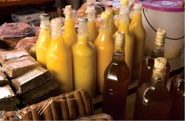 Foto: Francisco Moreira da Costa