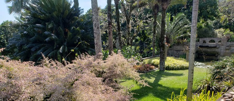 Sítio Roberto Burle Marx