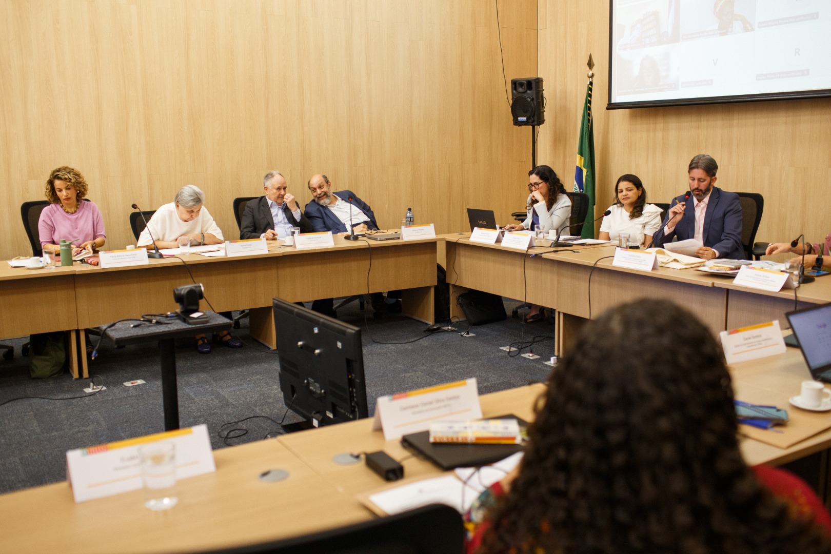 110º Reunião do Conselho Consultivo do Patrimônio Cultural - Tombamento do Engenho Corredor