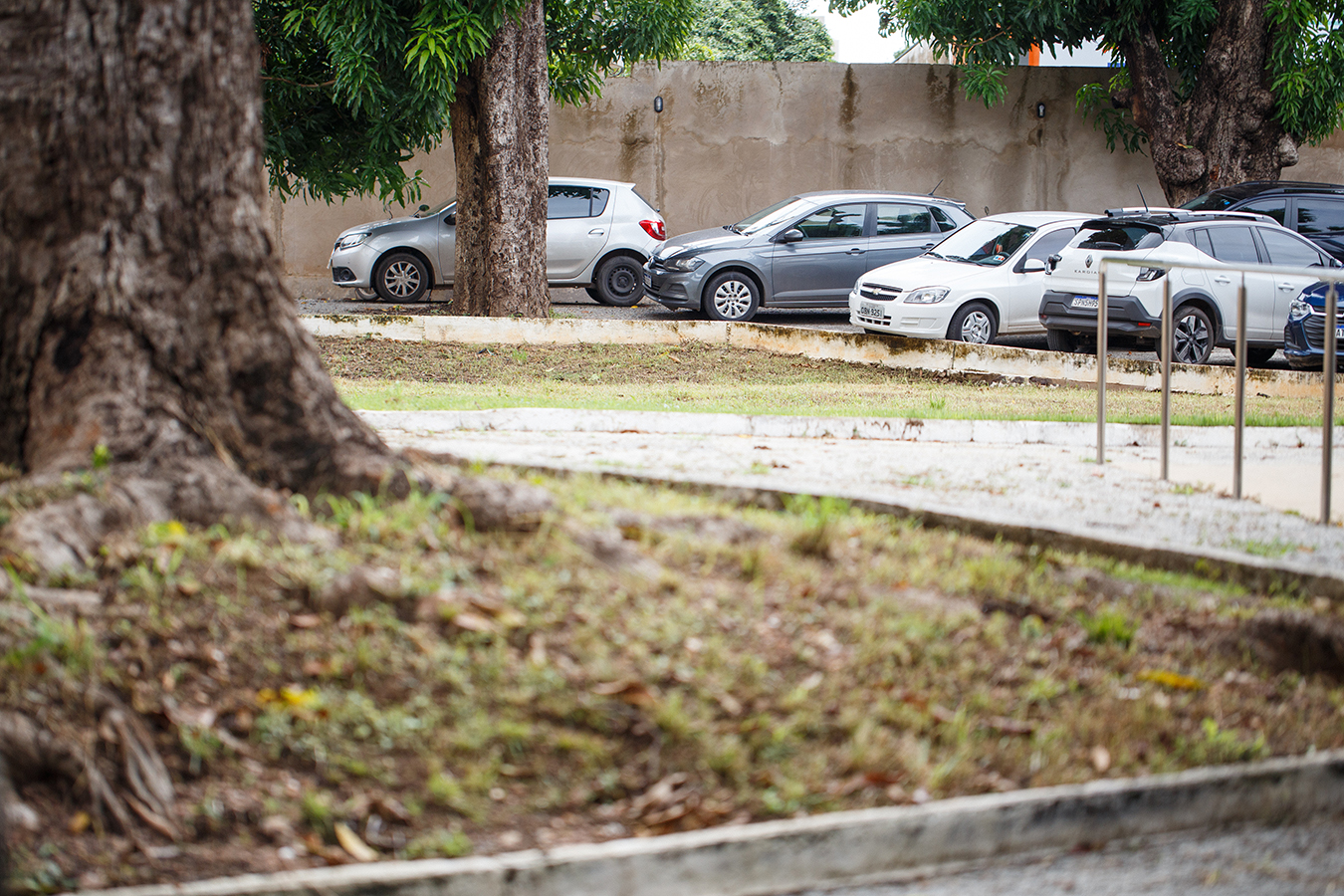 Foto: Mariana Alves/Iphan