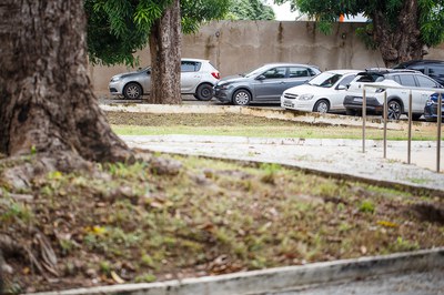 Foto: Mariana Alves/Iphan