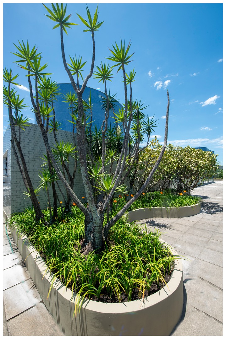 Foto: Oscar Liberal/Iphan