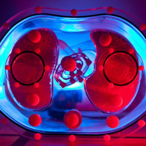 Technical competence and commitment to the safe use of ionizing radiation in medicine