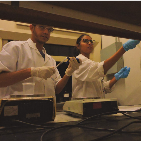 Many years of experience in the fields of education and research