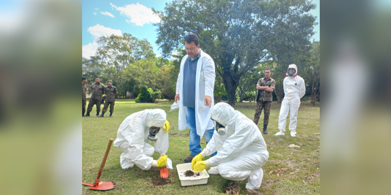 Design sem nome (14).png