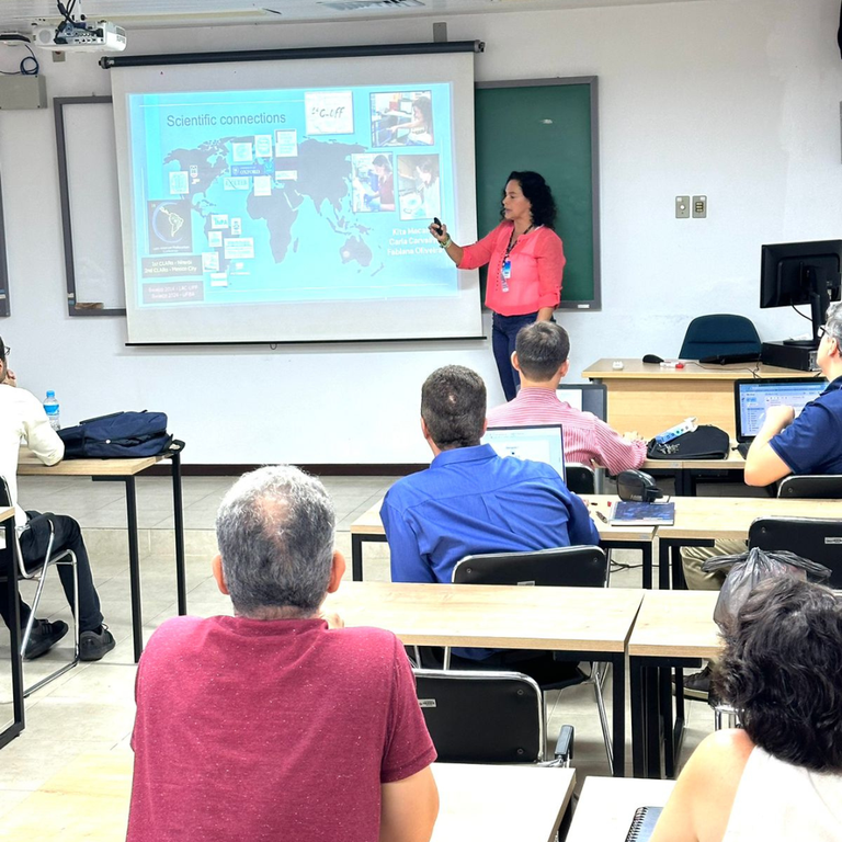 Rede colaborativa