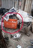 URGENTE - CNEN encontra material radioativo perdido intacto e encerra ocorrência no âmbito de sua competência