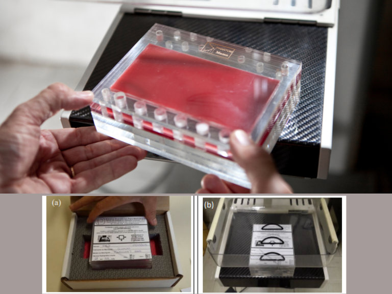 Avaliação da qualidade da imagem do simulador e da dose