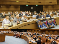 Pesquisadores do IRD participam de Reunião Anual de Comitê Científico das Nações Unidas