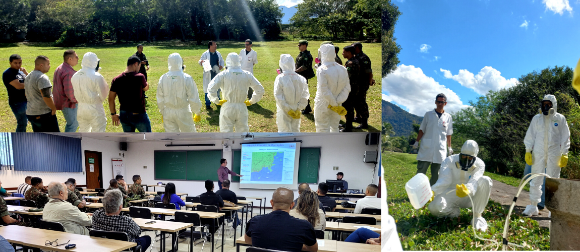 treinamento hcamp e ambiental