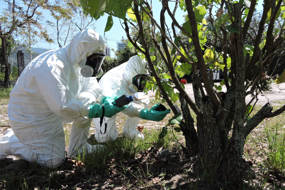 Treinamento em ações de resposta a emergências radiológicas
