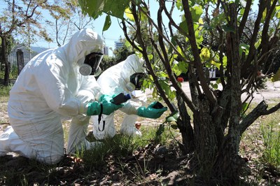 Treinamento em ações de resposta a emergências radiológicas
