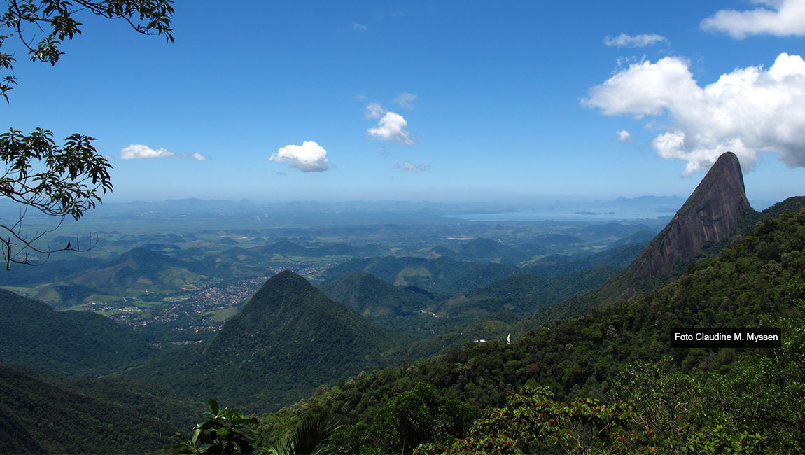 Rio de Janeiro Botanical Garden announces master's and doctoral programs offered by the Professional Graduate Program