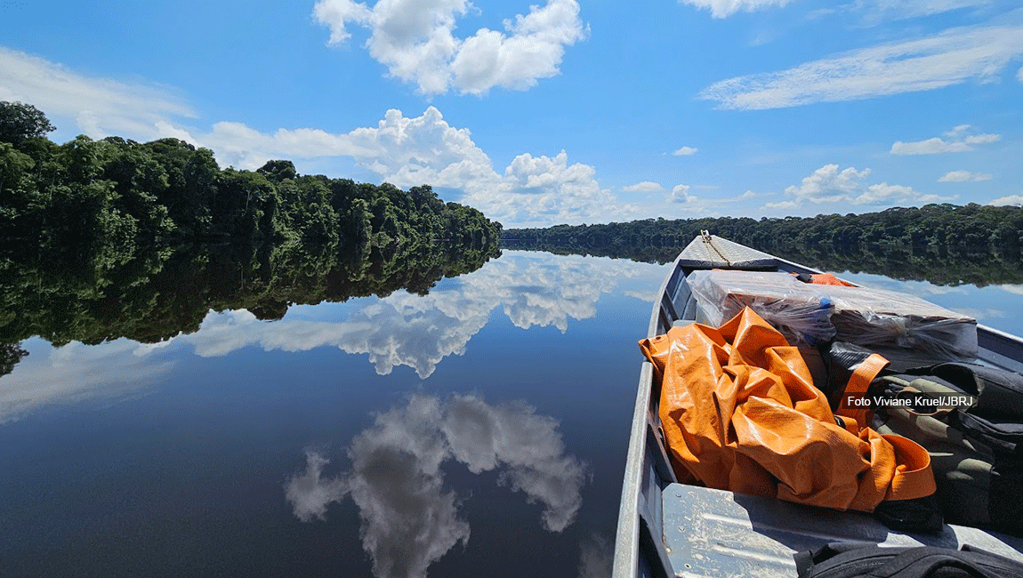 Ethnobotany and Intercultural Dialogues: the first expedition of the JBRJ to the Uaupés River in the context of the Amazon +10 Project