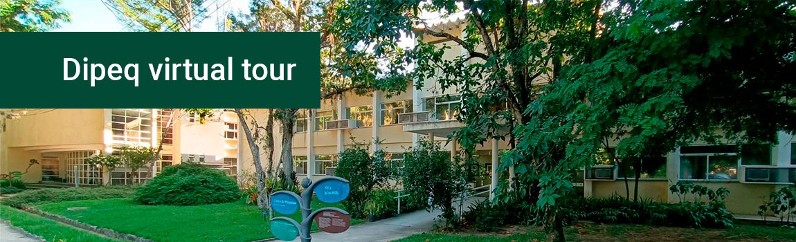 Jardim Botânico do Rio lança tour virtual e entrega reforma do complexo da Diretoria de Pesquisa Científica