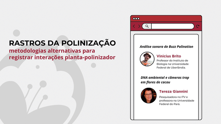 New ways to pollination research are the focus of the first INPol Chat