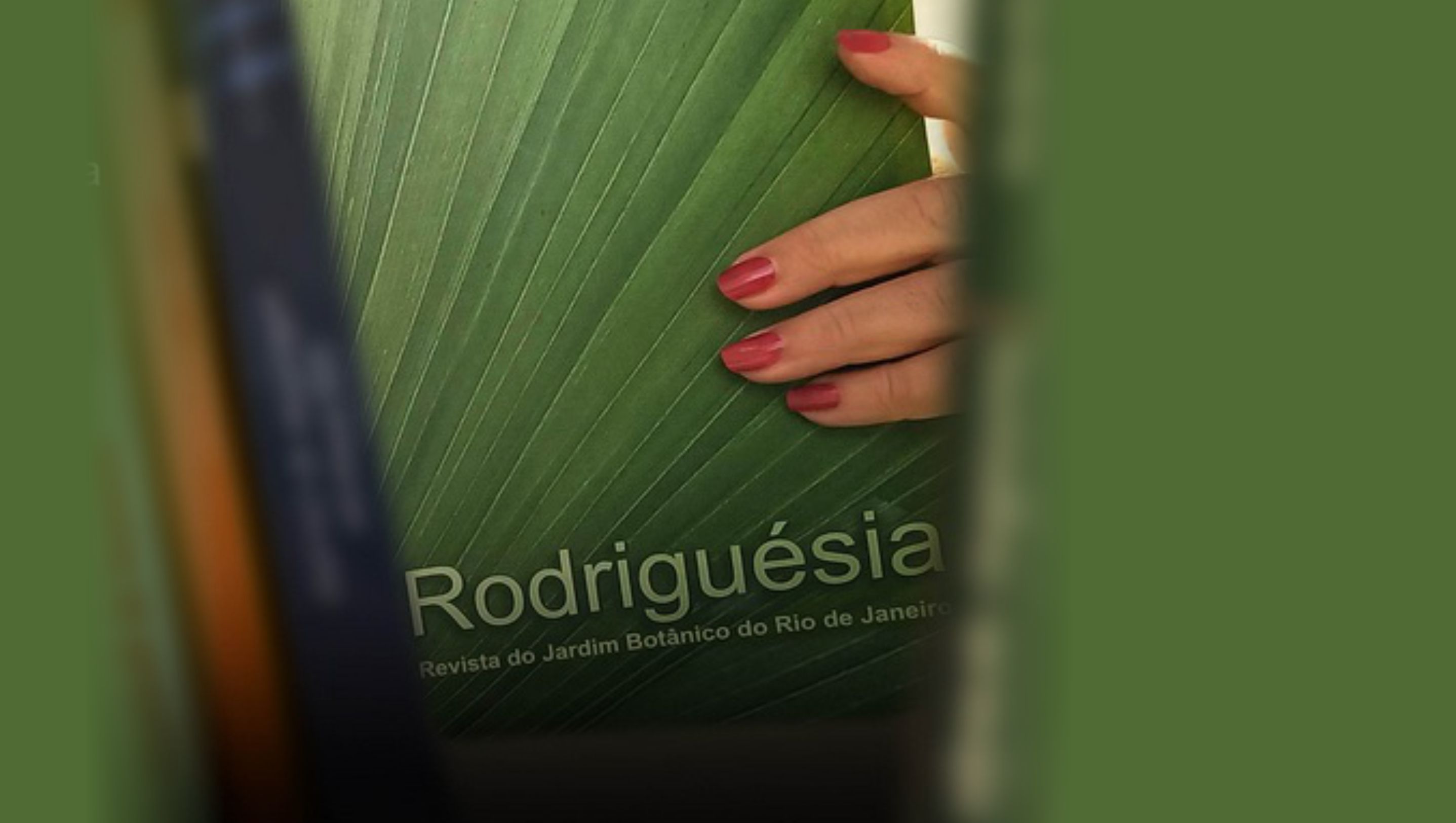 Rodriguésia revamps its presence on the web