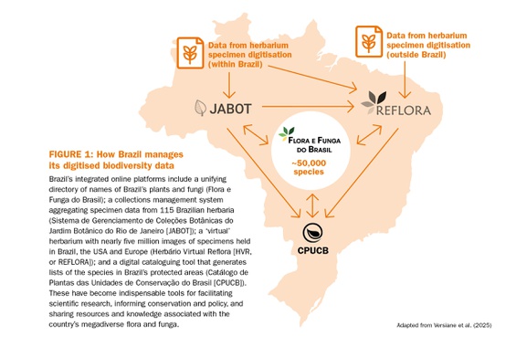 infographic